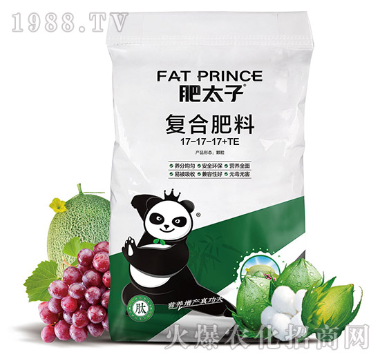 �ͺϷ���17-17-17+TE-��̫��