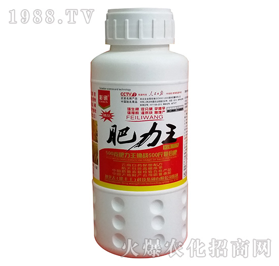 ƿ�b������-��Ӎ-���S��