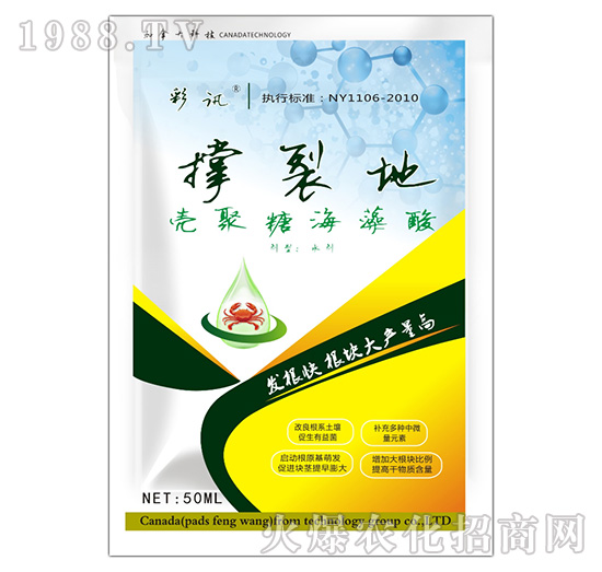 �����Ǻ�����-���ѵ�-��Ӎ-���S��