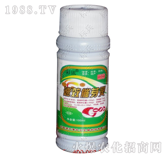 ��ѿ�`-��Ӎ-���S��