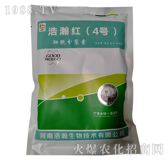 ����������-��嫼t��4̖��-�������