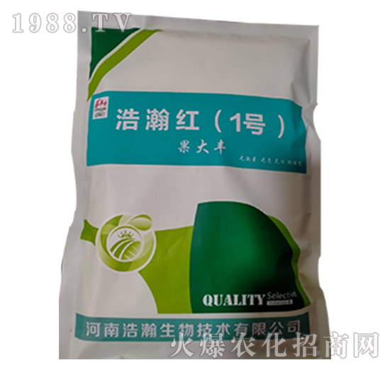 �����S-��嫼t��1̖(h��o)��-�������