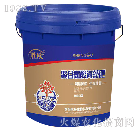 �۹Ȱ��ả���-�ٚW-ζ������