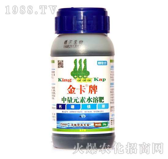 ����Ԫ���}���V�\-��-� �����