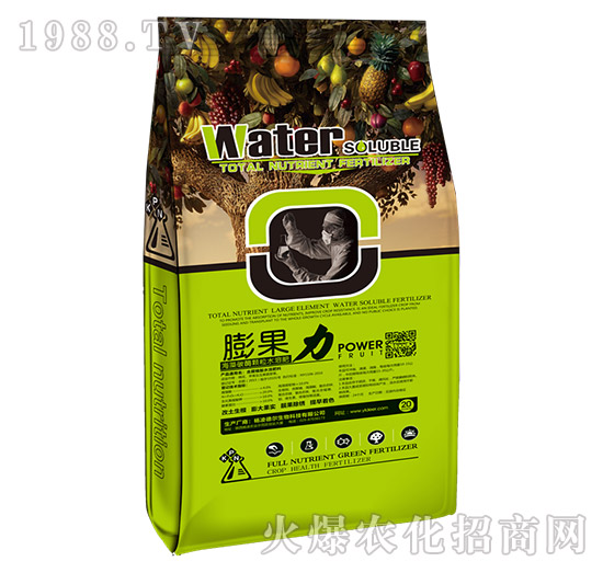 �����-� �����