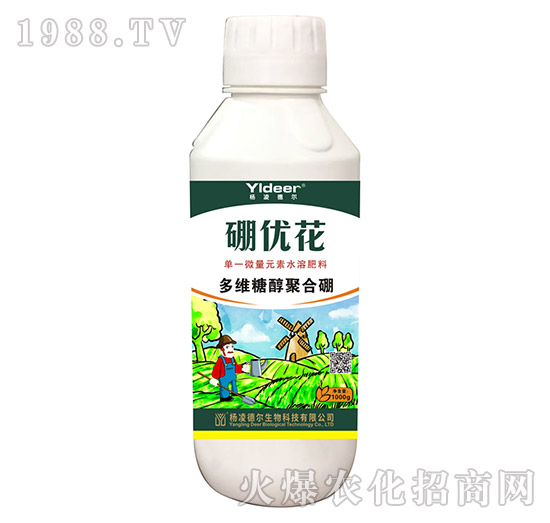 ��S�Ǵ��ۺ���-����(y��u)��-� �����