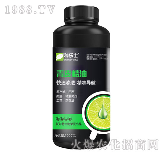 ��Ƥ����-�ژ�ʿ