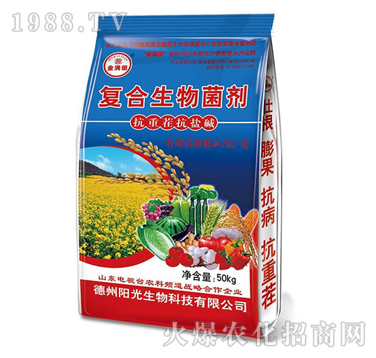 ��(f��)���������-��M��{(l��n)��-ꖹ�����