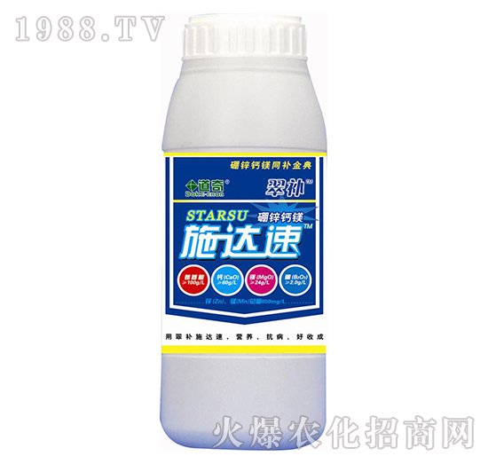 ʩ���_(d��)-���a(b��)-����