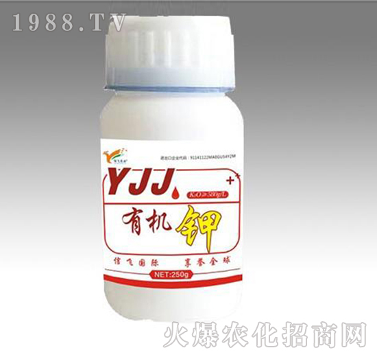 �ЙC�-���w�r�I(y��)