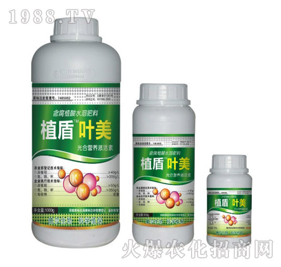 �~��-ֲ��-� �����