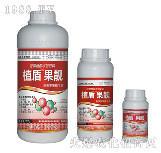 ���n-ֲ��-��?t��ng)����? style=