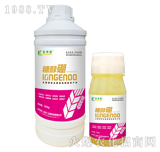 �ߝ�s����Һ��-�Ǵ���-����Z