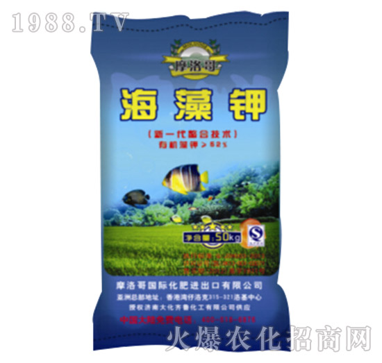 50kg�����-���R��