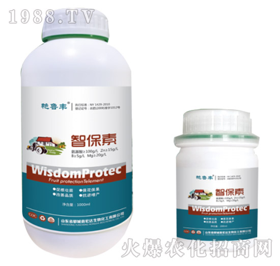 �Ǳ���-�G���S-���_����