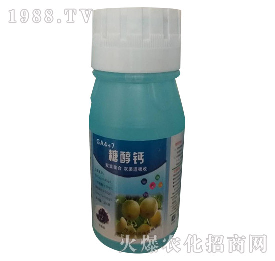 �Ǵ��}-�h�|����