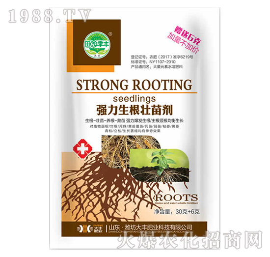 36�ˏ�(qi��ng)���������焩-��@���S-���S�ʘI(y��)