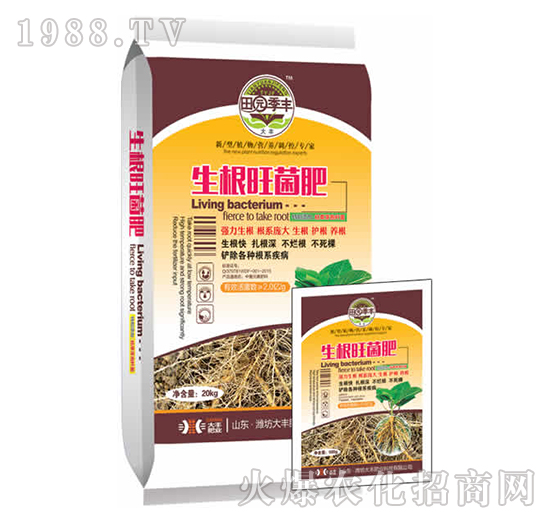 ����������-��@���S-���S�ʘI(y��)