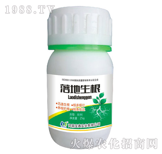 �������-���䌍�I(y��)