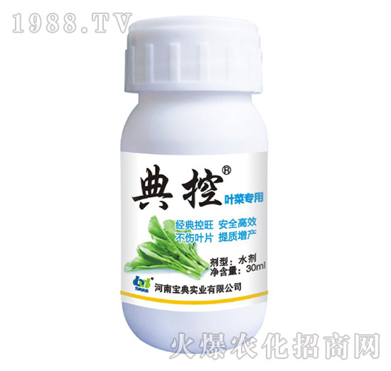 �~�ˌ���-���-���䌍�I(y��)