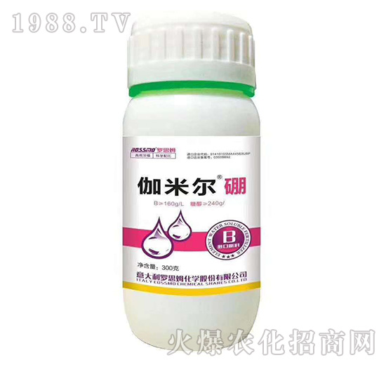 ٤�נ���-�_˼ķ-ľ�̼ь�