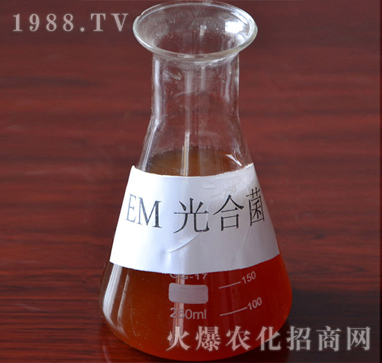 EM��Ͼ�-�VԪ����