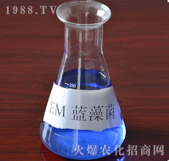 EM�{(l��n)���-�VԪ����