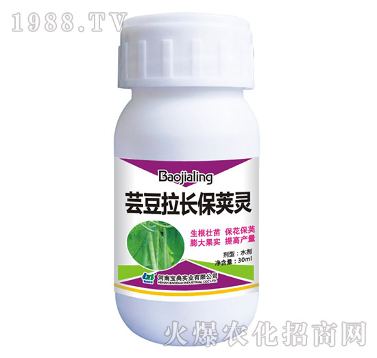 �|�����L���v�`-���䌍�I(y��)