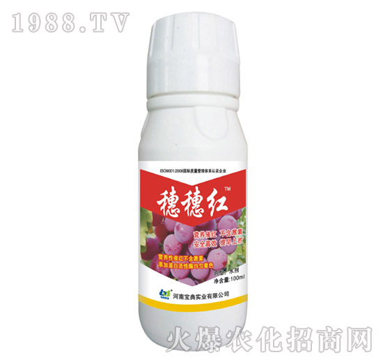 ����t-���䌍(sh��)�I(y��)