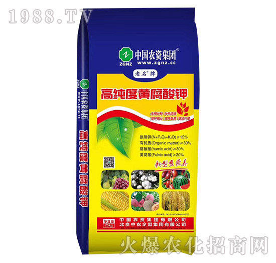 �߼����S�����-���r