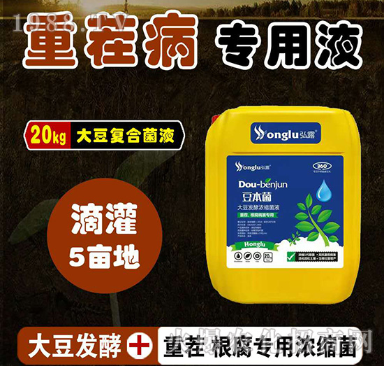 �ز���������ô󶹰l(f��)�͝�s�ͺϾ�Һ-������-���r��¶