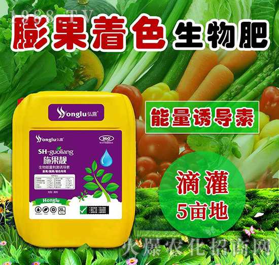 ����n����ɫ�������������̼��T����-�ǹ��n-���r(n��ng)��¶