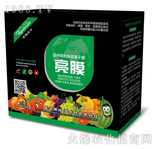 �������������x��Ĥ-��Ĥ-������