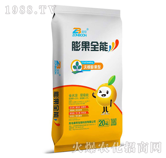 �ָ������-չ������