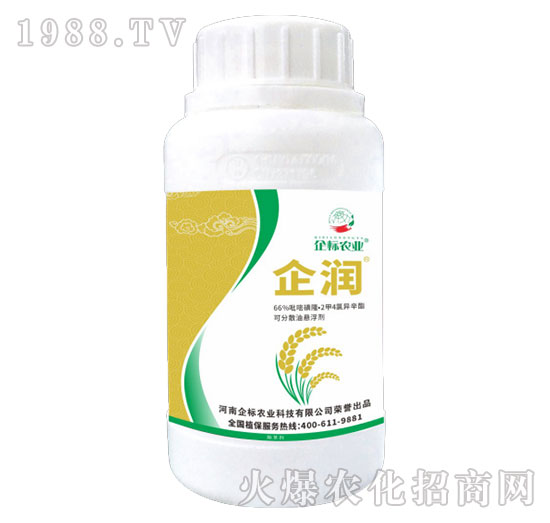 66%���׻�¡��2��4�Ȯ�����-��(r��n)-���(bi��o)