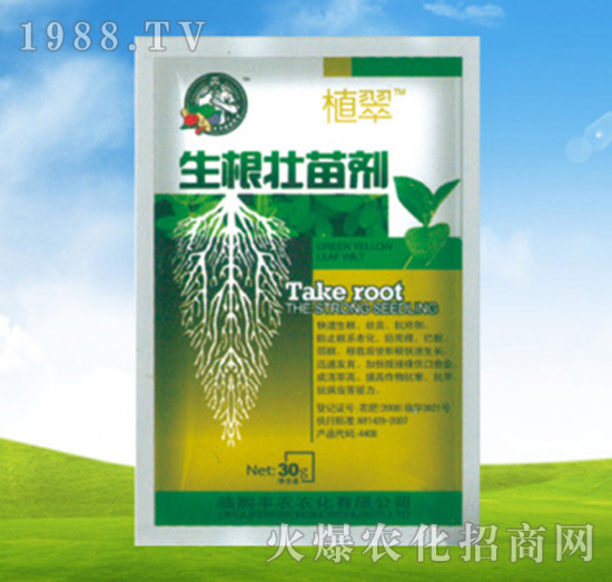 �������焩-ֲ��-�S�r�r��