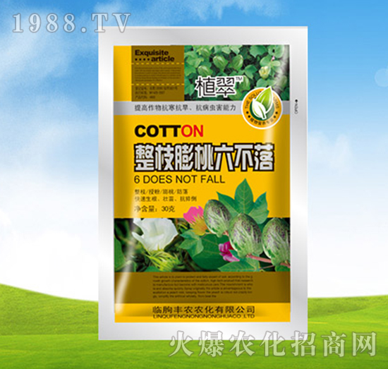 ��֦����������-ֲ��-�S�r�r��