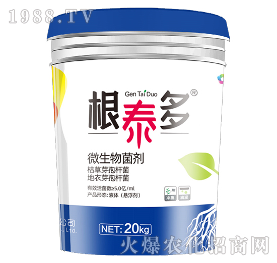 ΢�������-��̩��-��̩