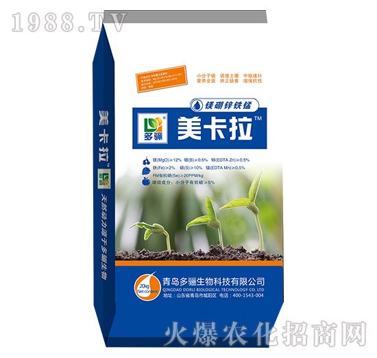 �V���\�F�i-������-���P����