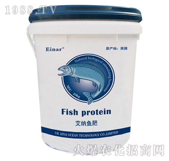 ���{�~��-���㺣