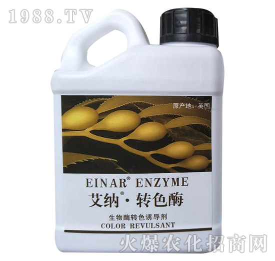 ����ø�Dɫ�T����-���{���Dɫø-���㺣