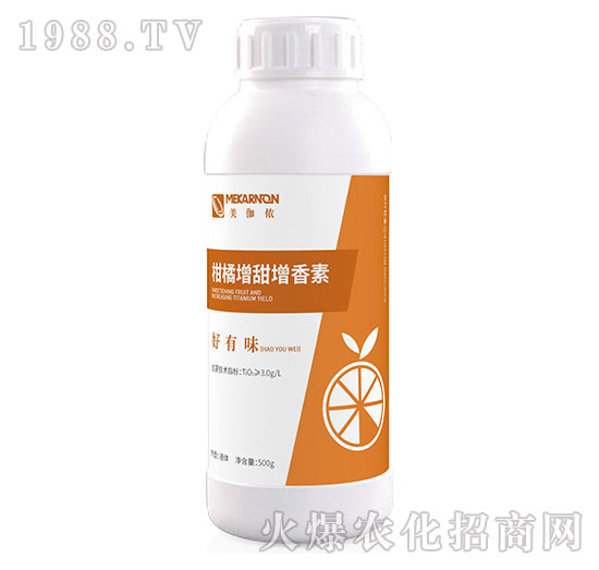 ��������������-����ζ-��٤�z