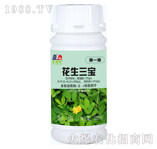 ����������һ�飩-���~����