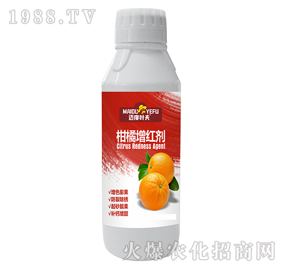 �������t��-�~���~��