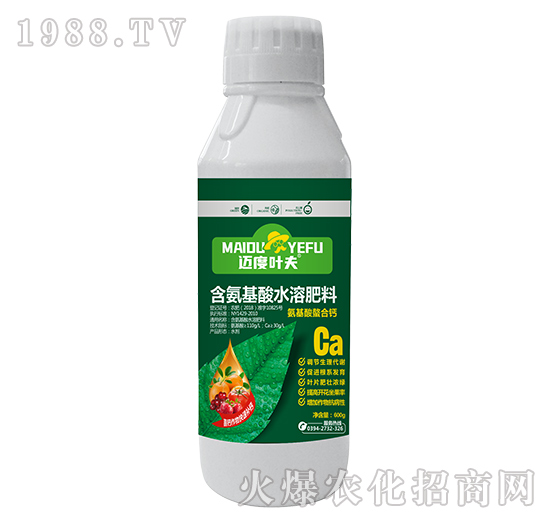 ƿ�b�����������}-�~���~��