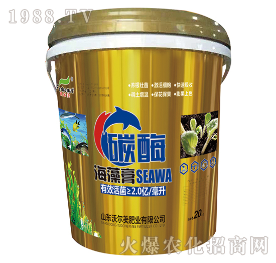 ̼ø�����-�֠���