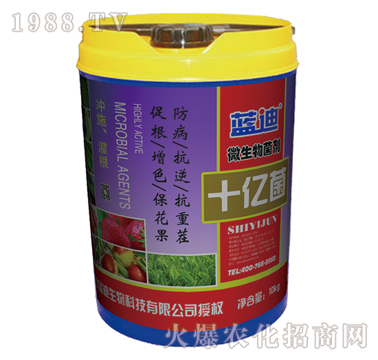 ΢�������-ʮ�|��-�{(l��n)���֠���