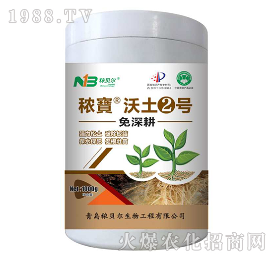 �������������2̖-��ؐ��