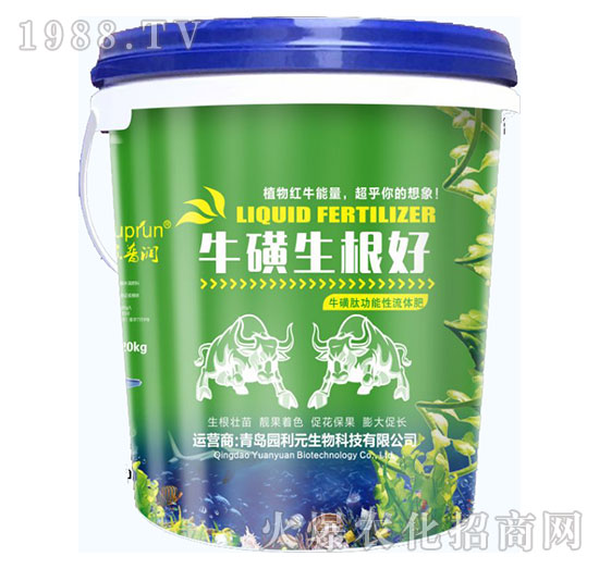 ����������-�@��Ԫ