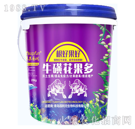 ���ǻ�����-�@��Ԫ